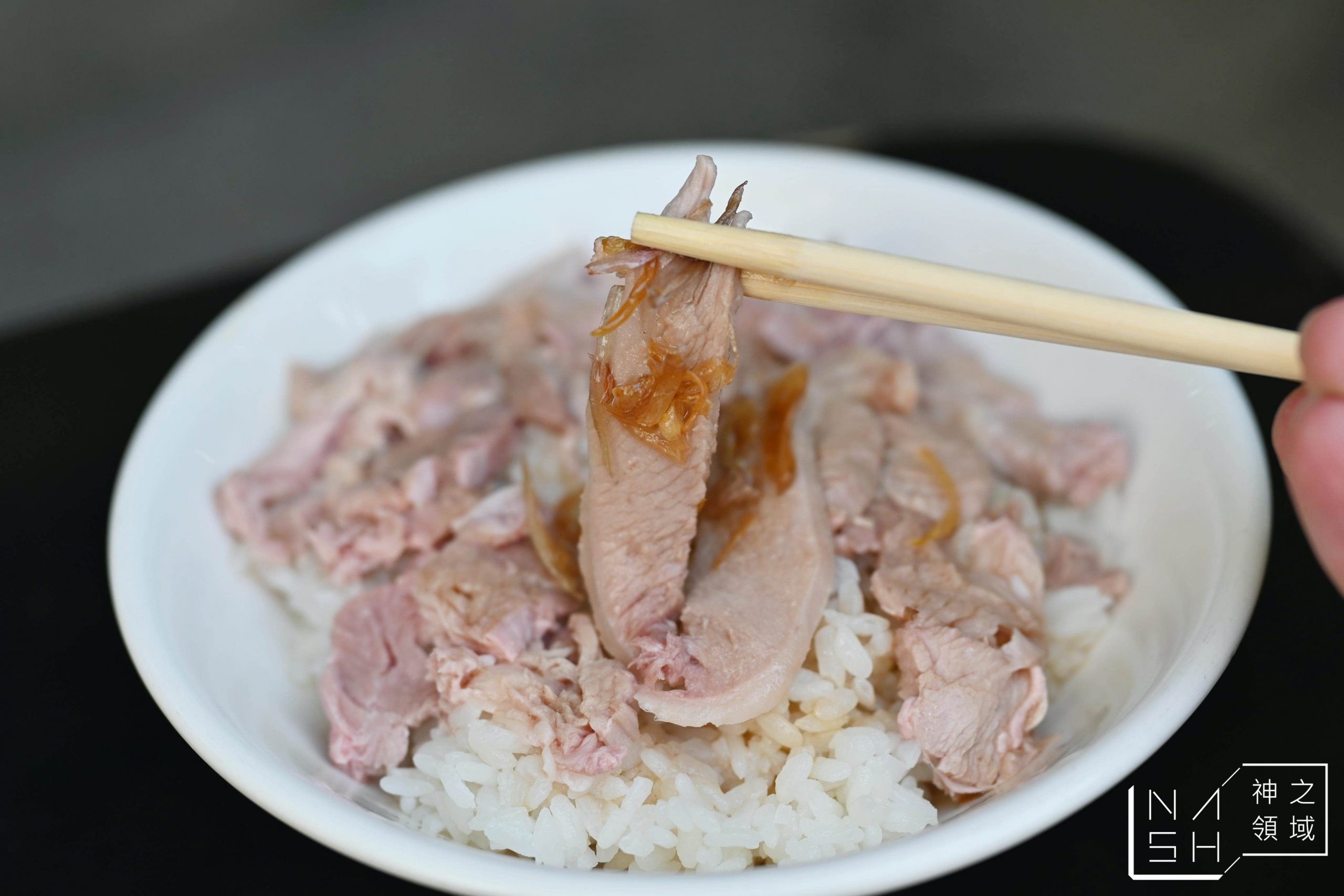 文化火雞肉飯
