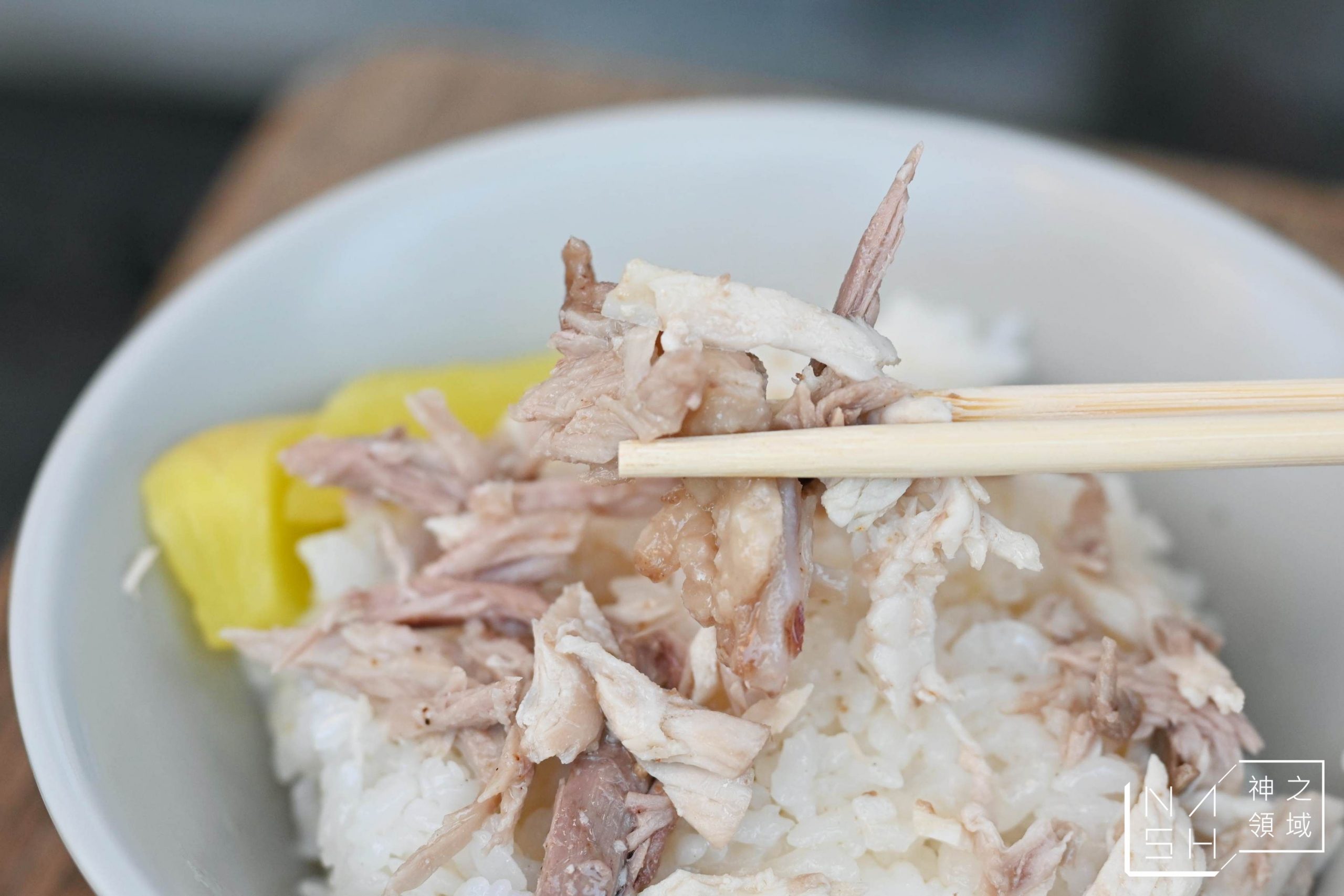 桃城南門雞肉飯