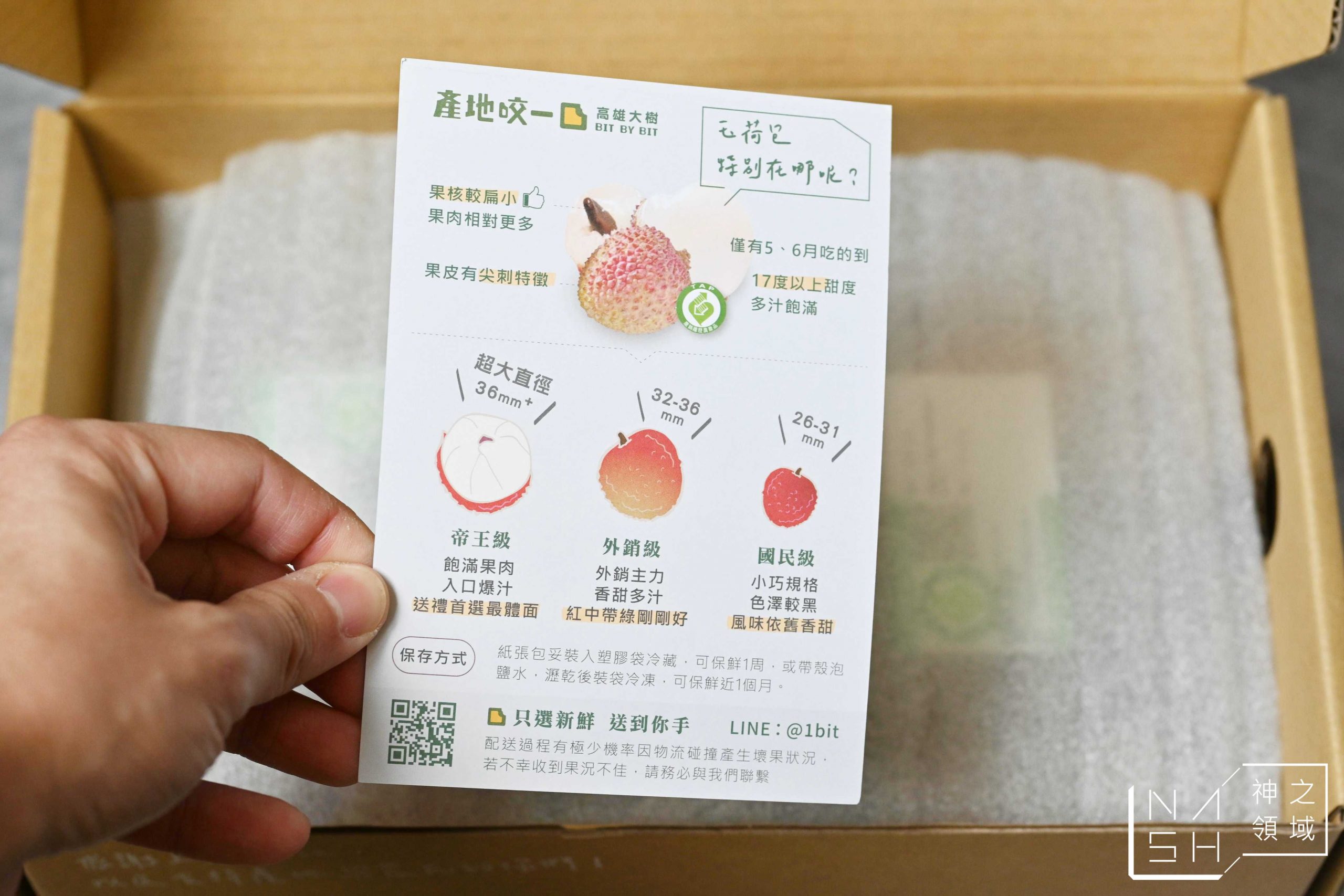 大樹玉荷包