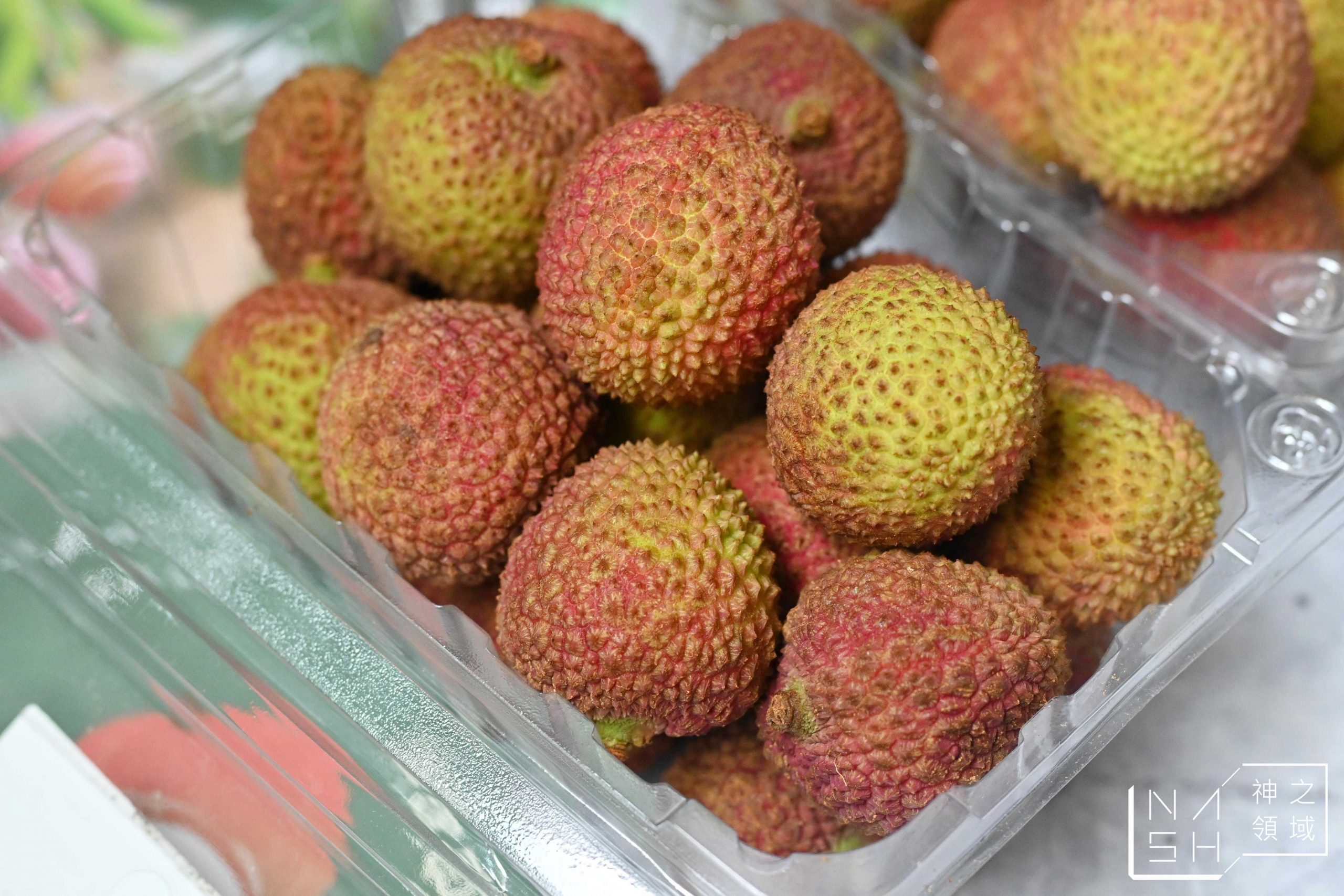 大樹玉荷包