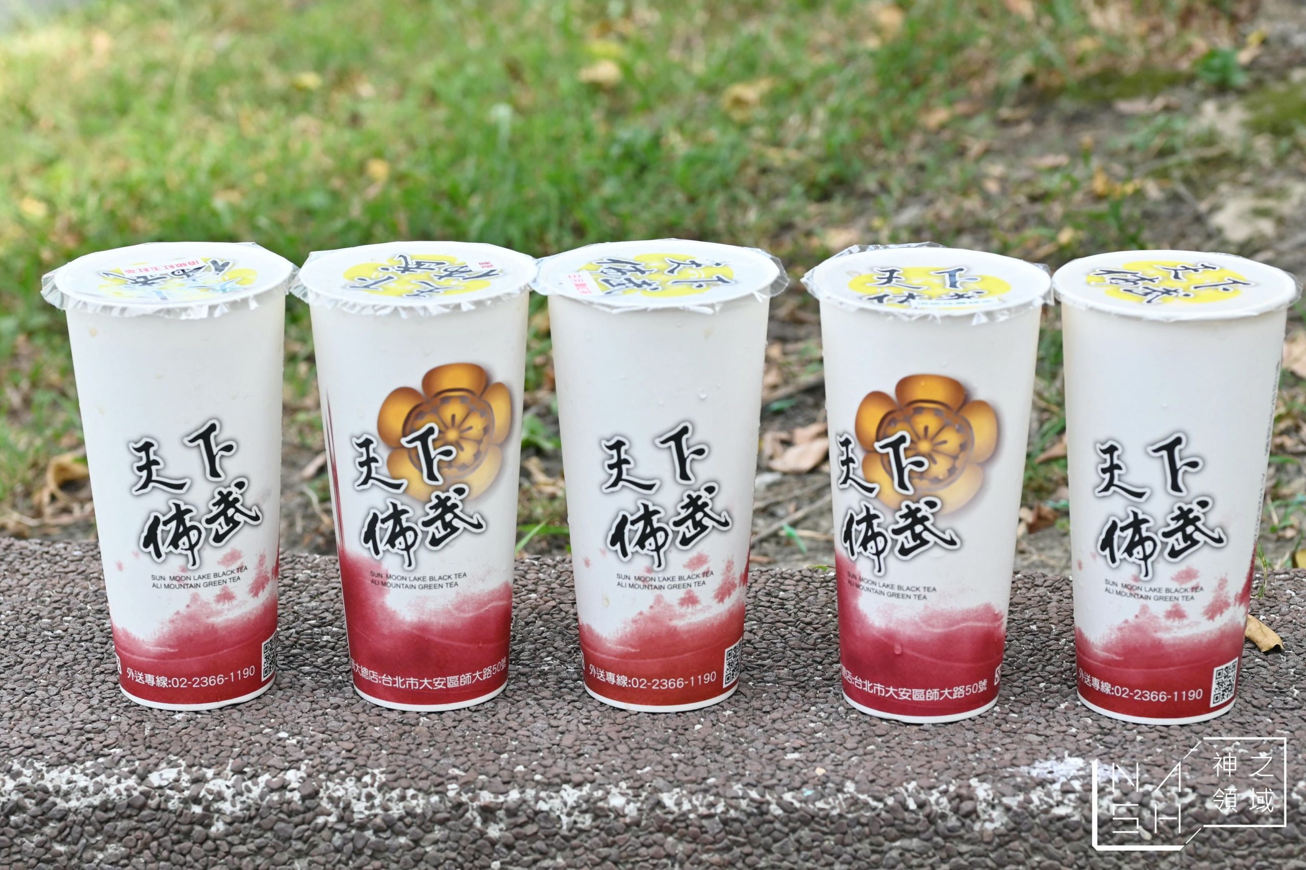 天下佈武日月潭紅茶