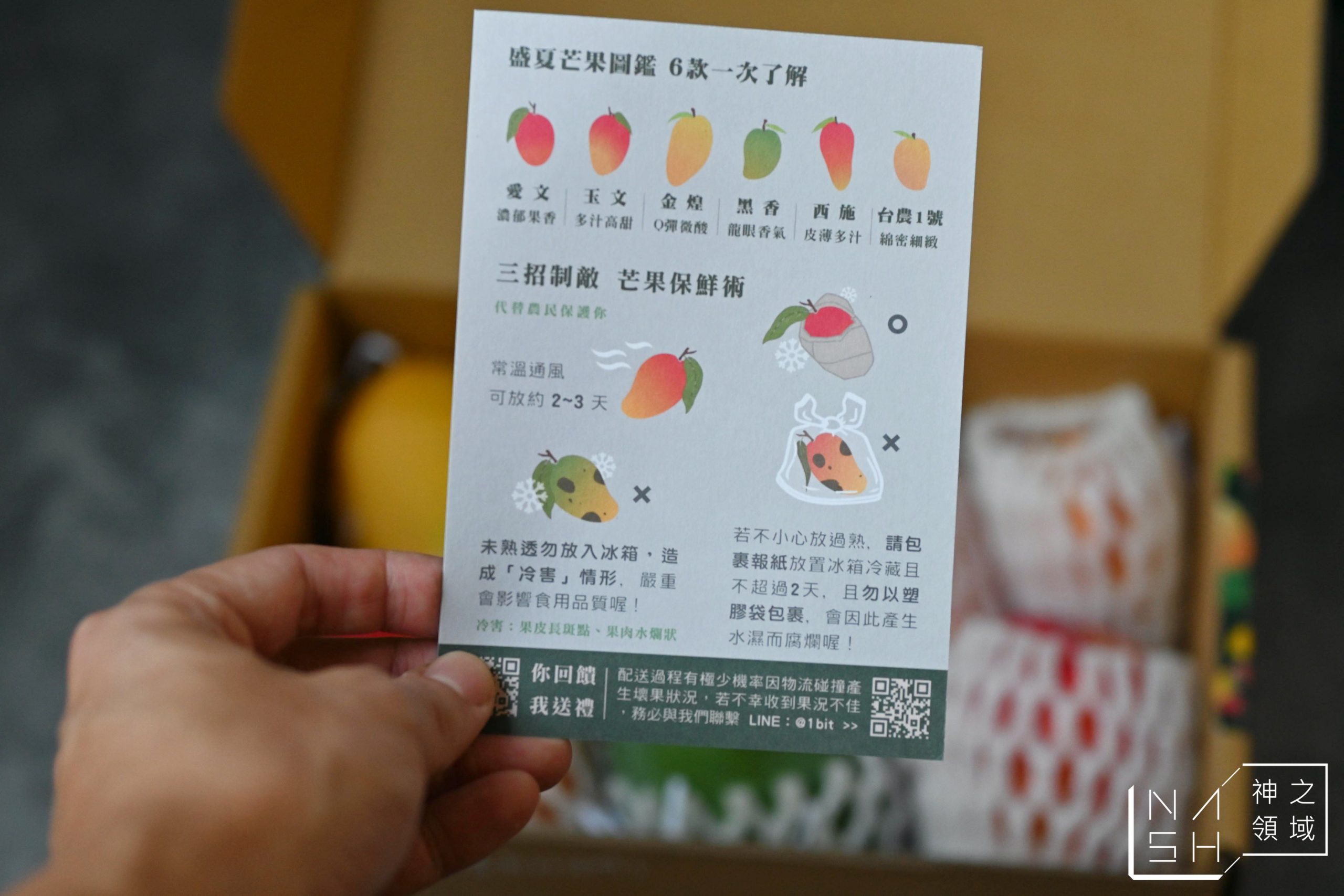 芒果推薦
