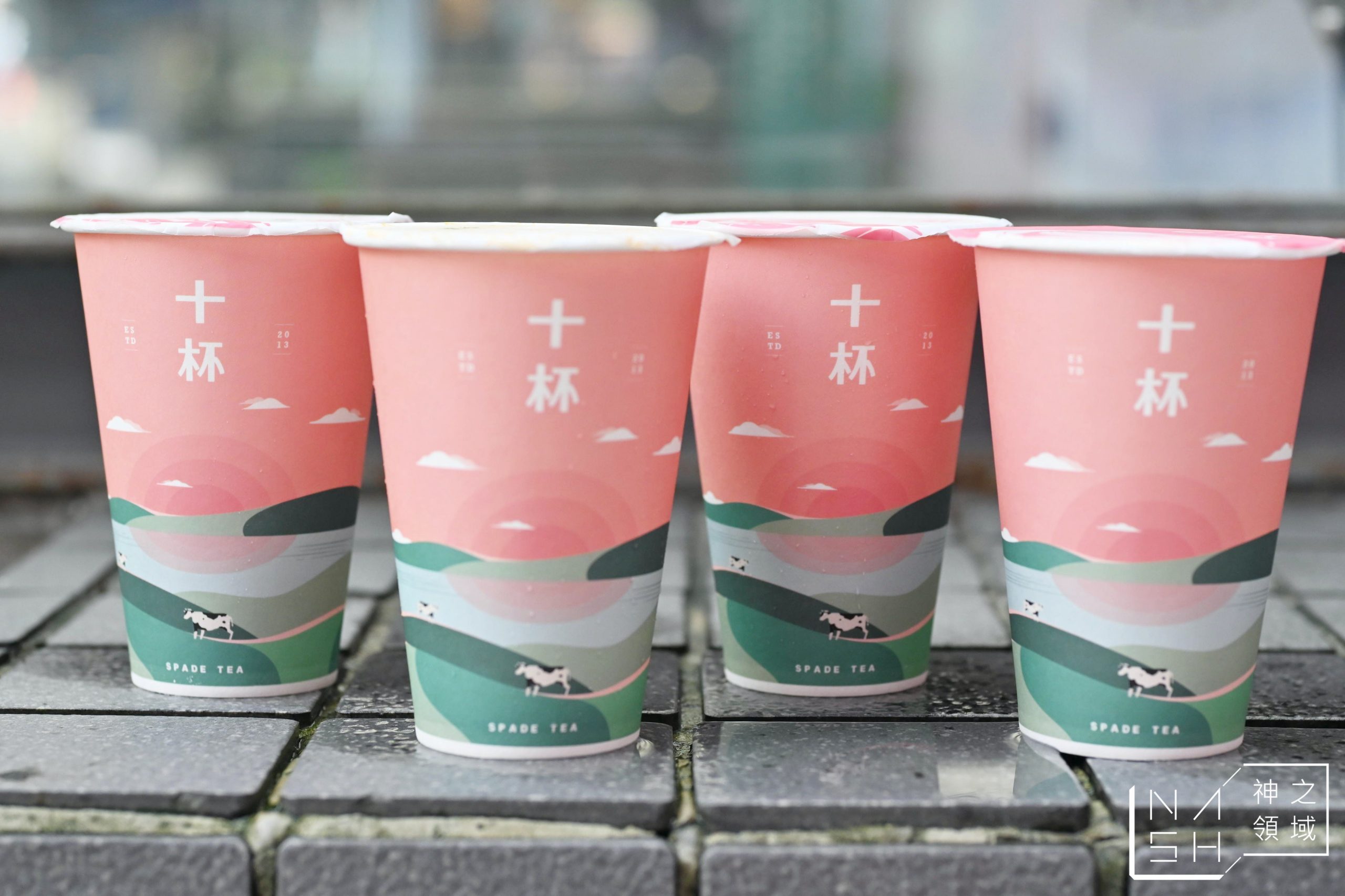 十杯