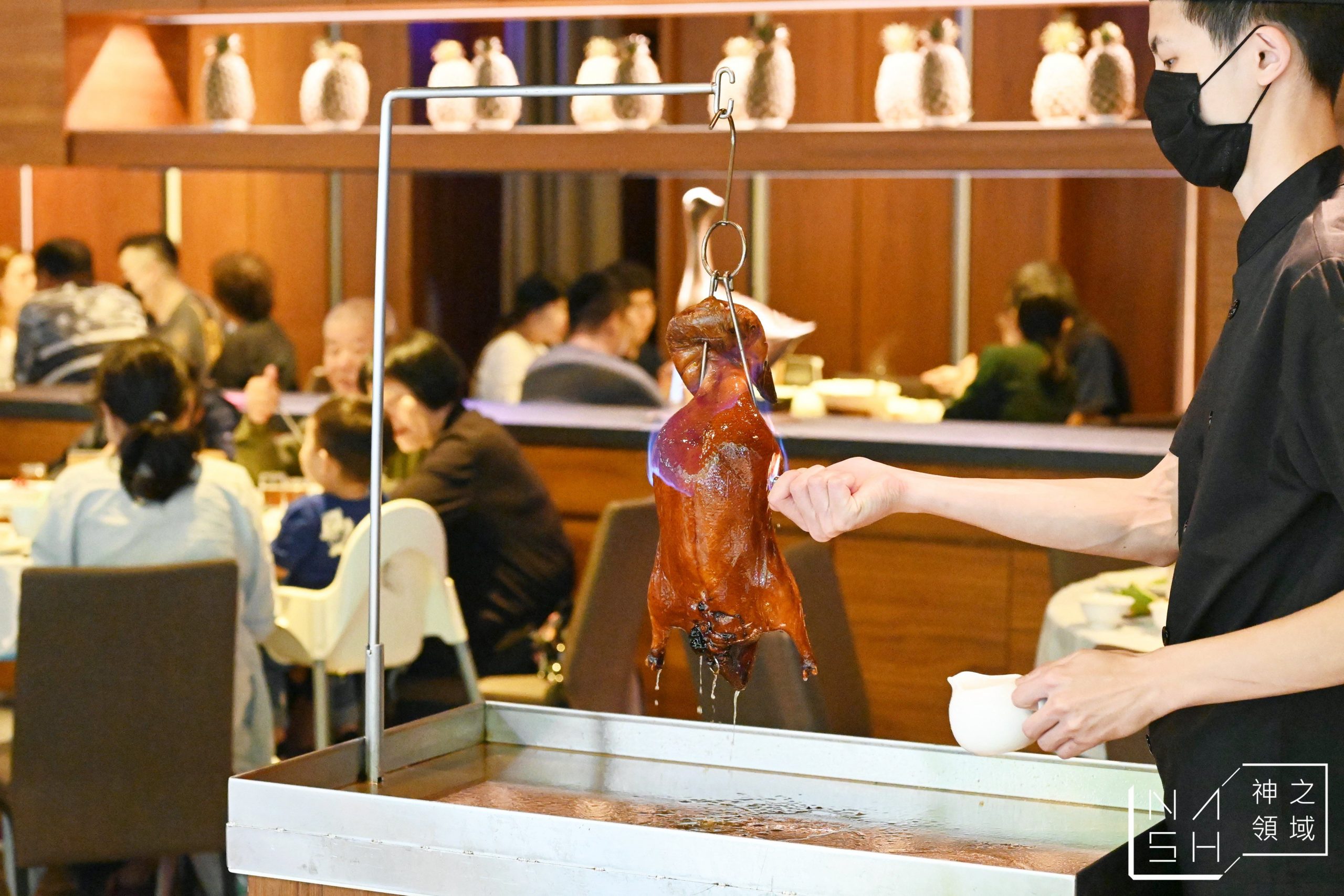 頂園全鴨坊