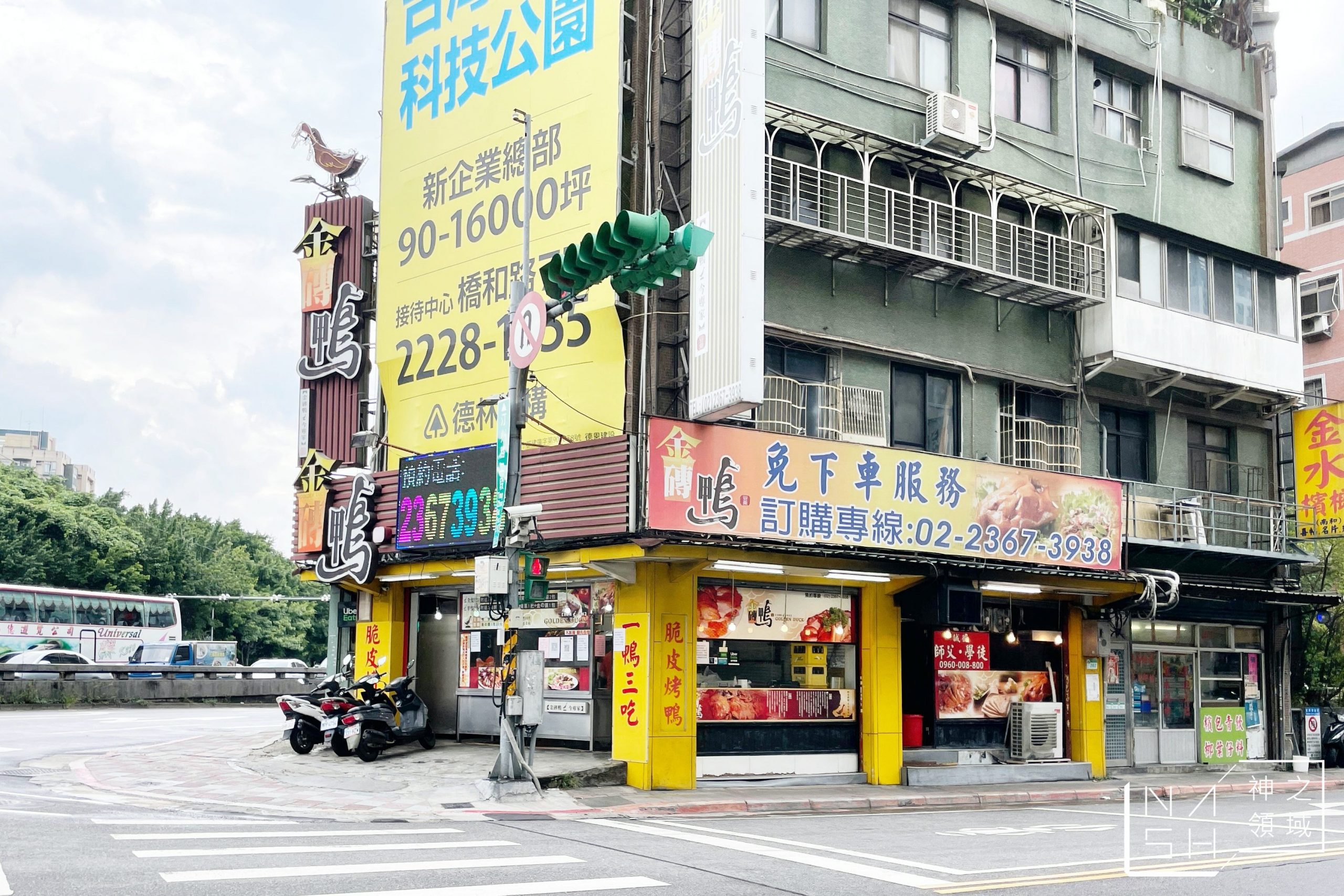 金磚鴨