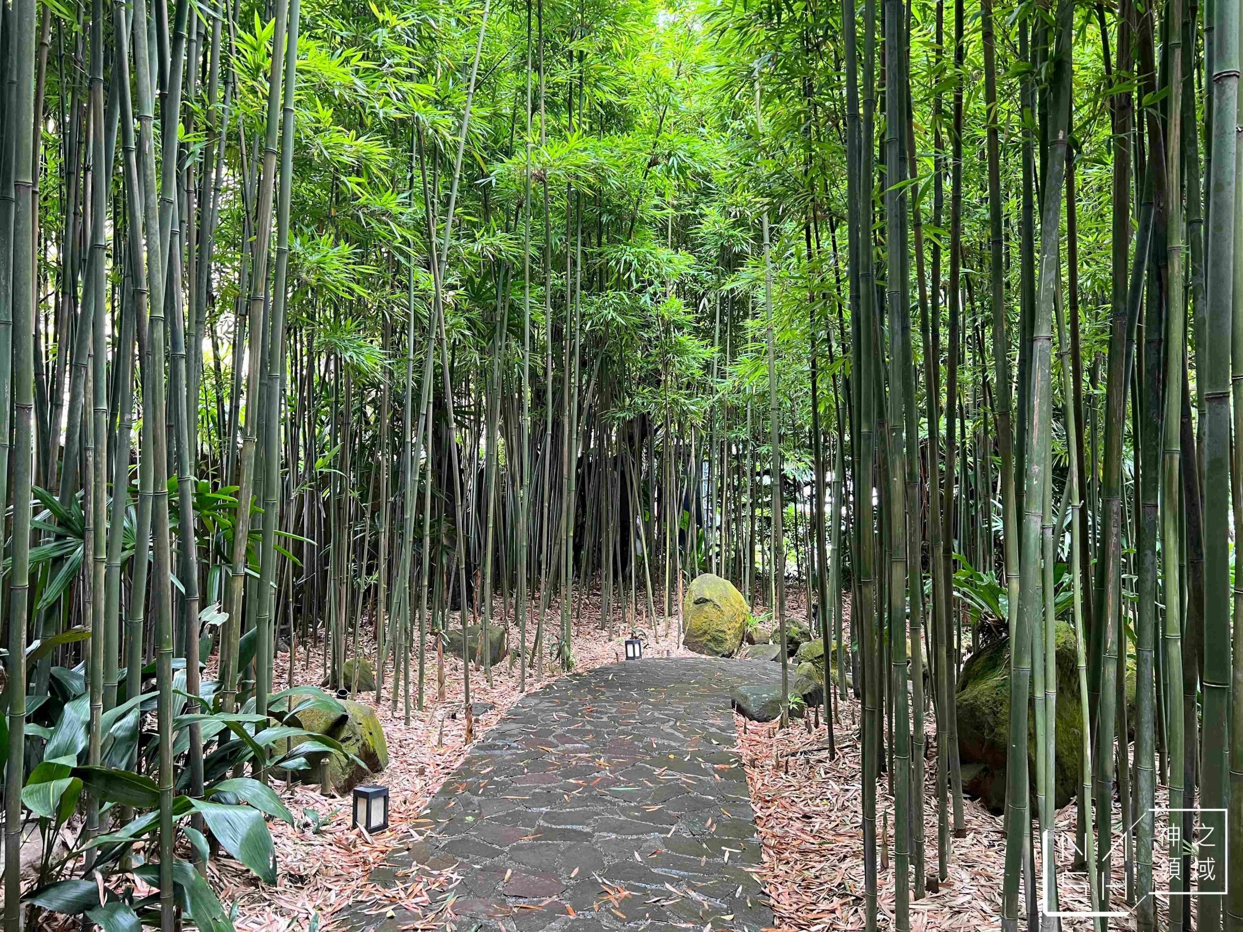 豆留森林