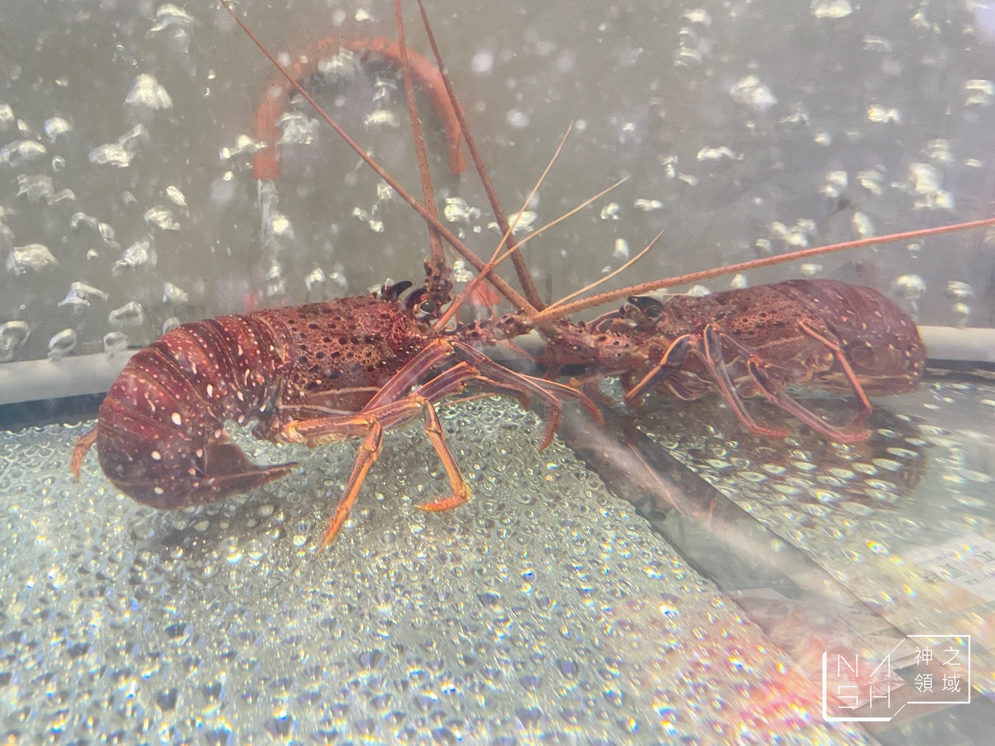 小海水產三重自強店
