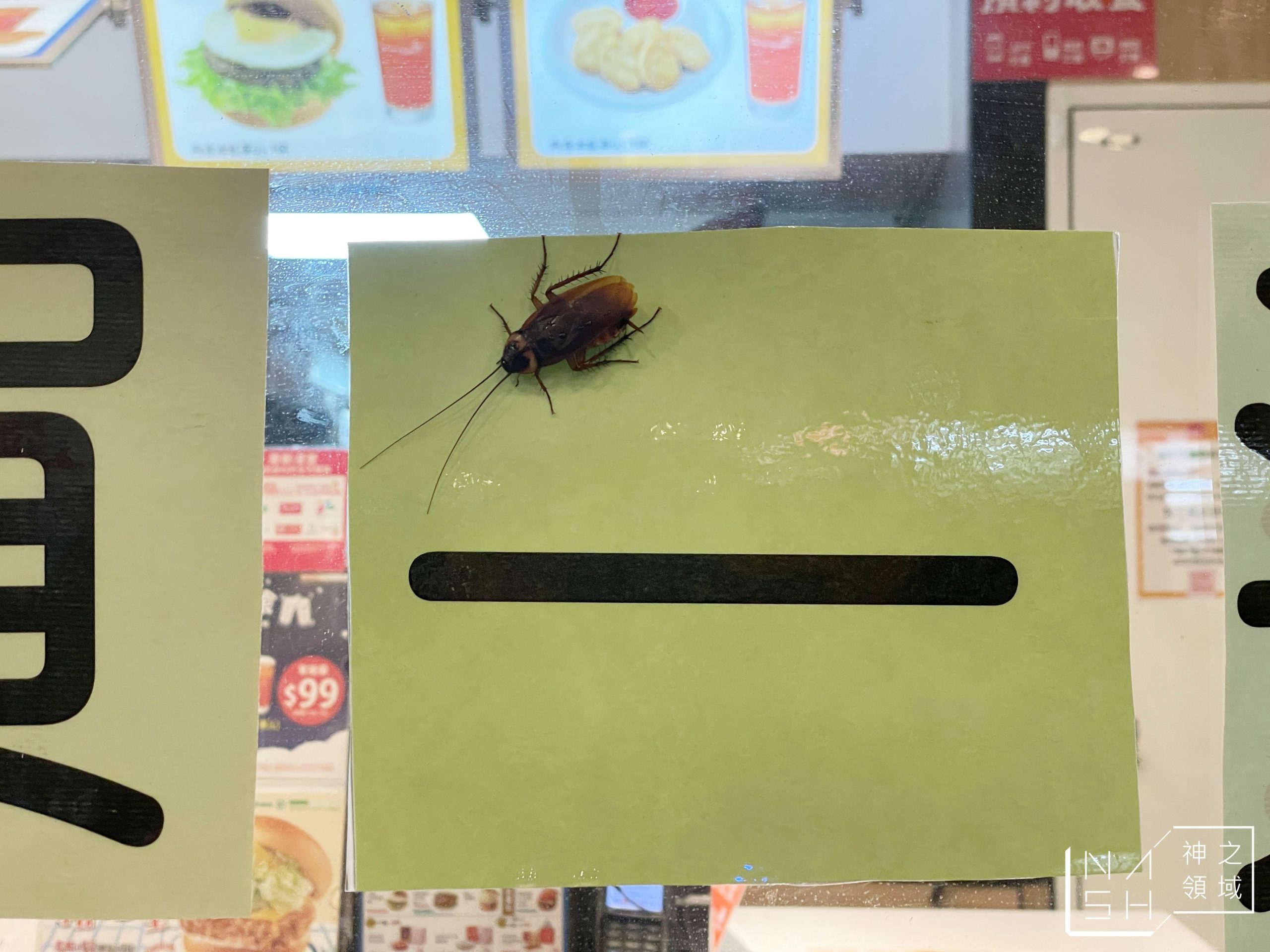 摩斯蔬菜箱