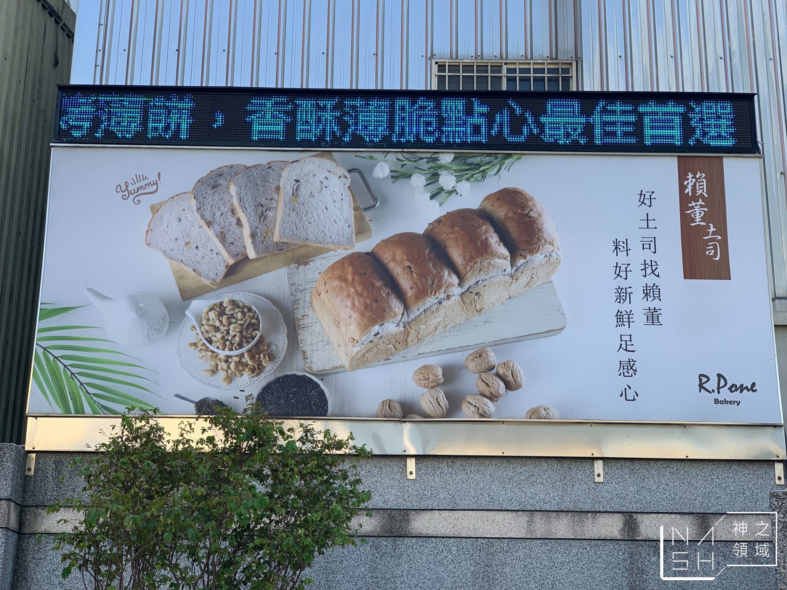 賴董土司