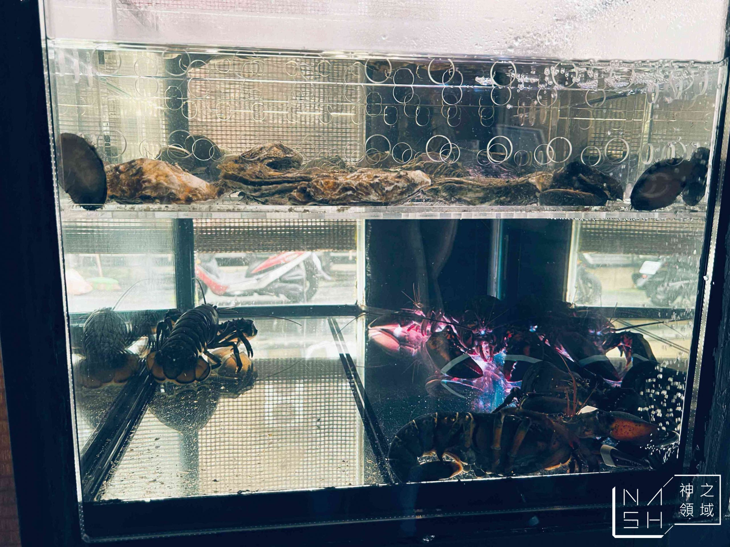 魚君海鮮公有市場