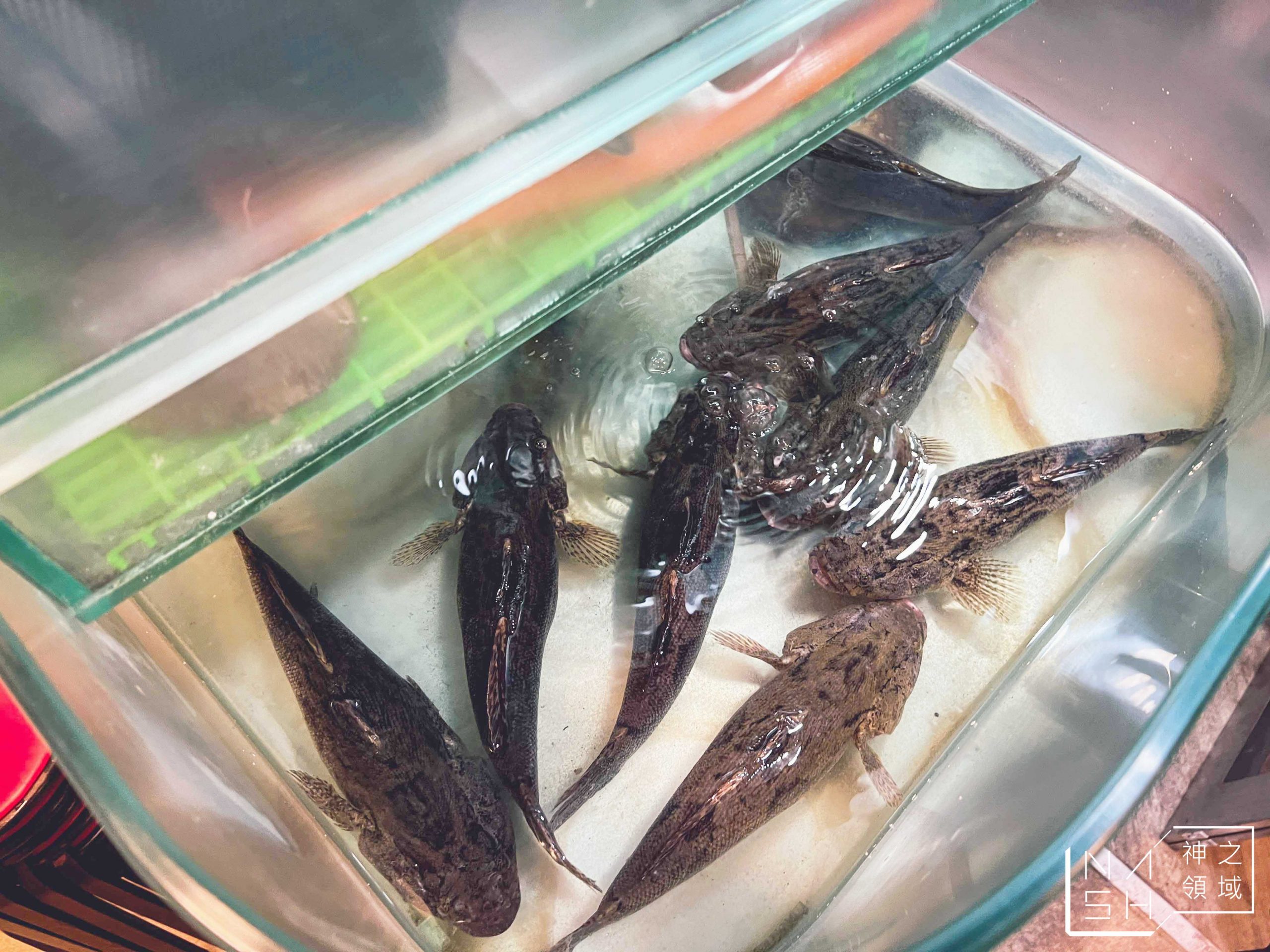 明福台菜海產