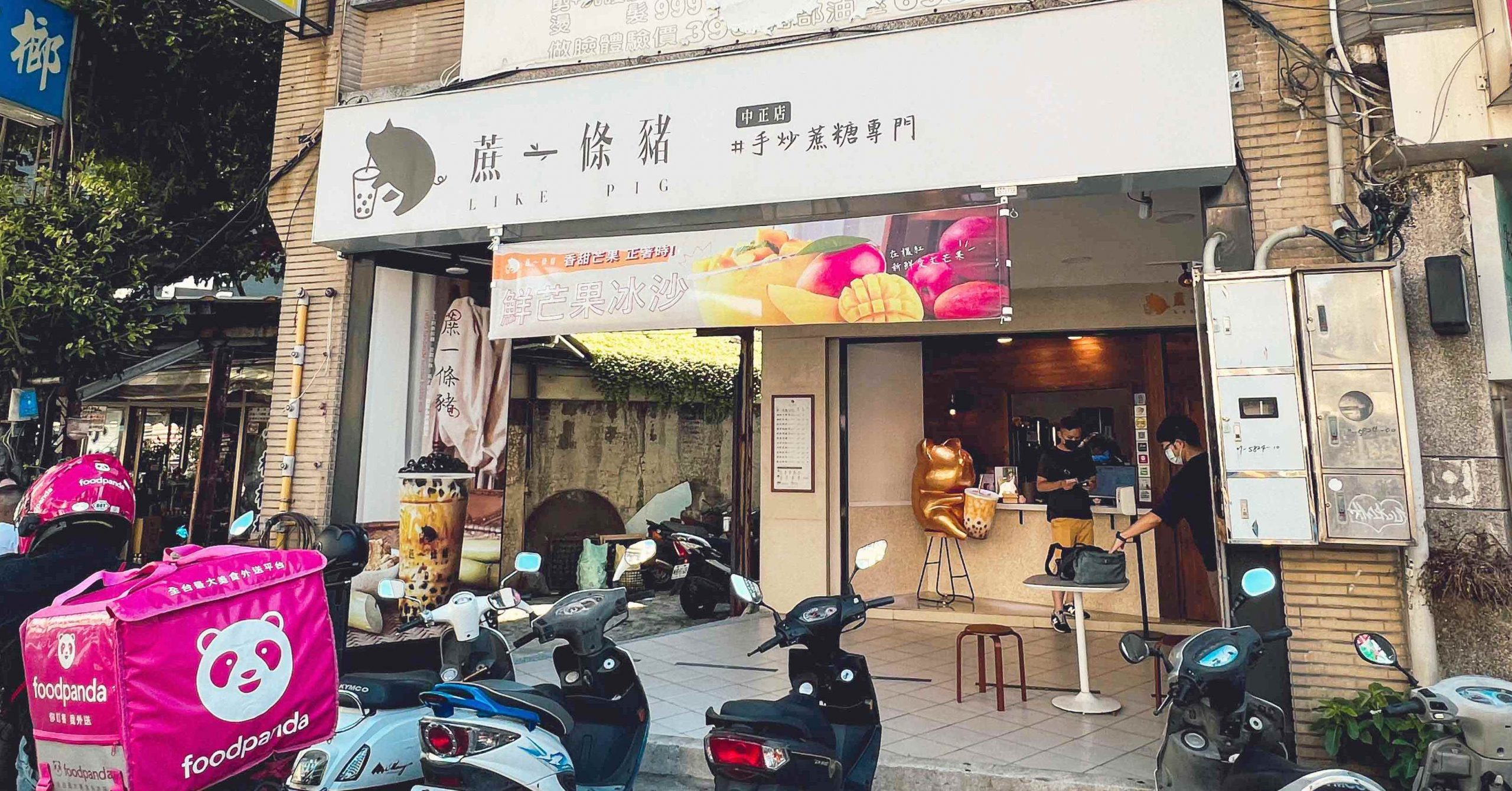蔗一條豬