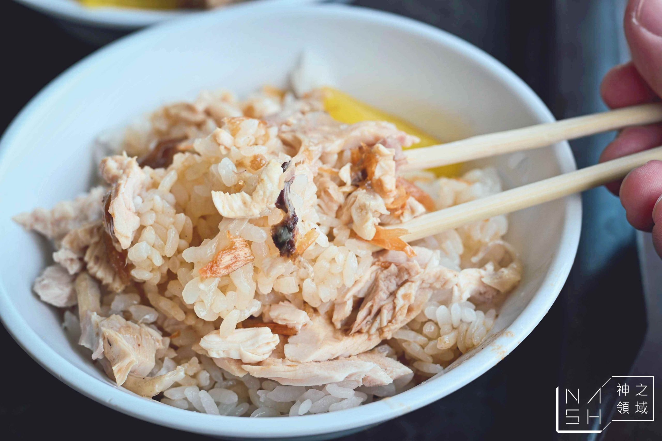 嘉義車頭火雞肉飯