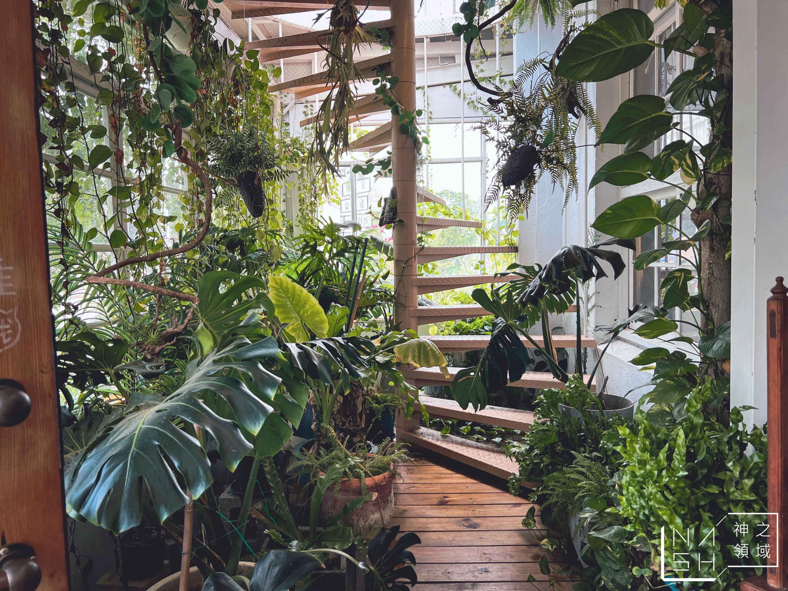 廢溫室Greenhouse café