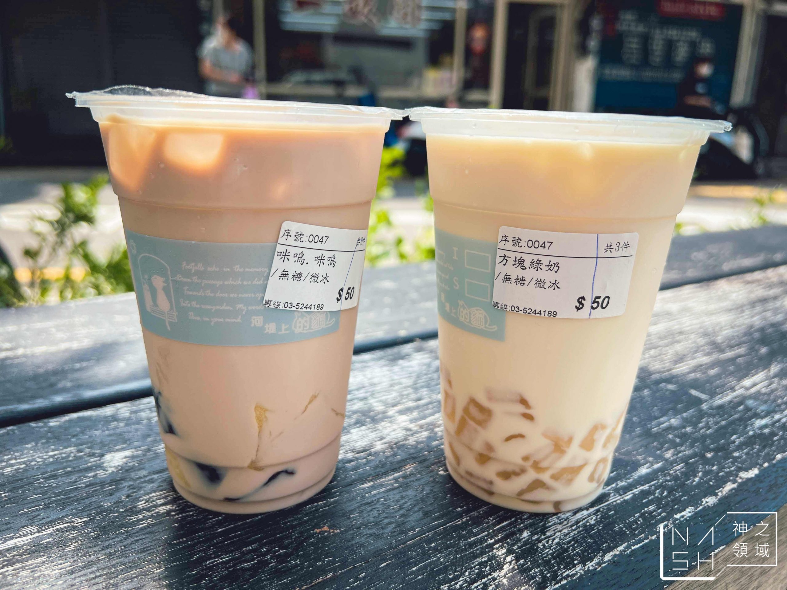 河堤上的貓