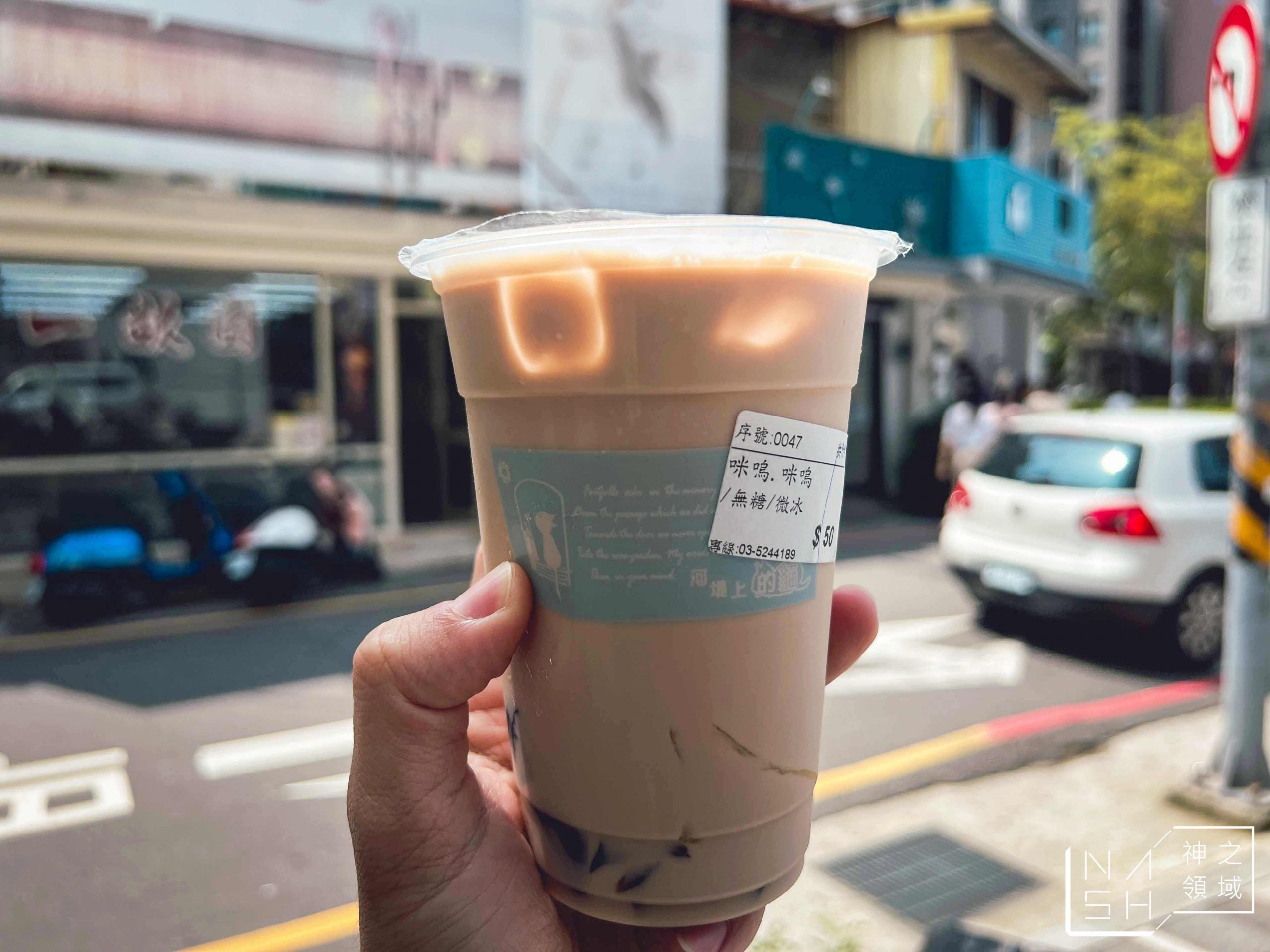 河堤上的貓