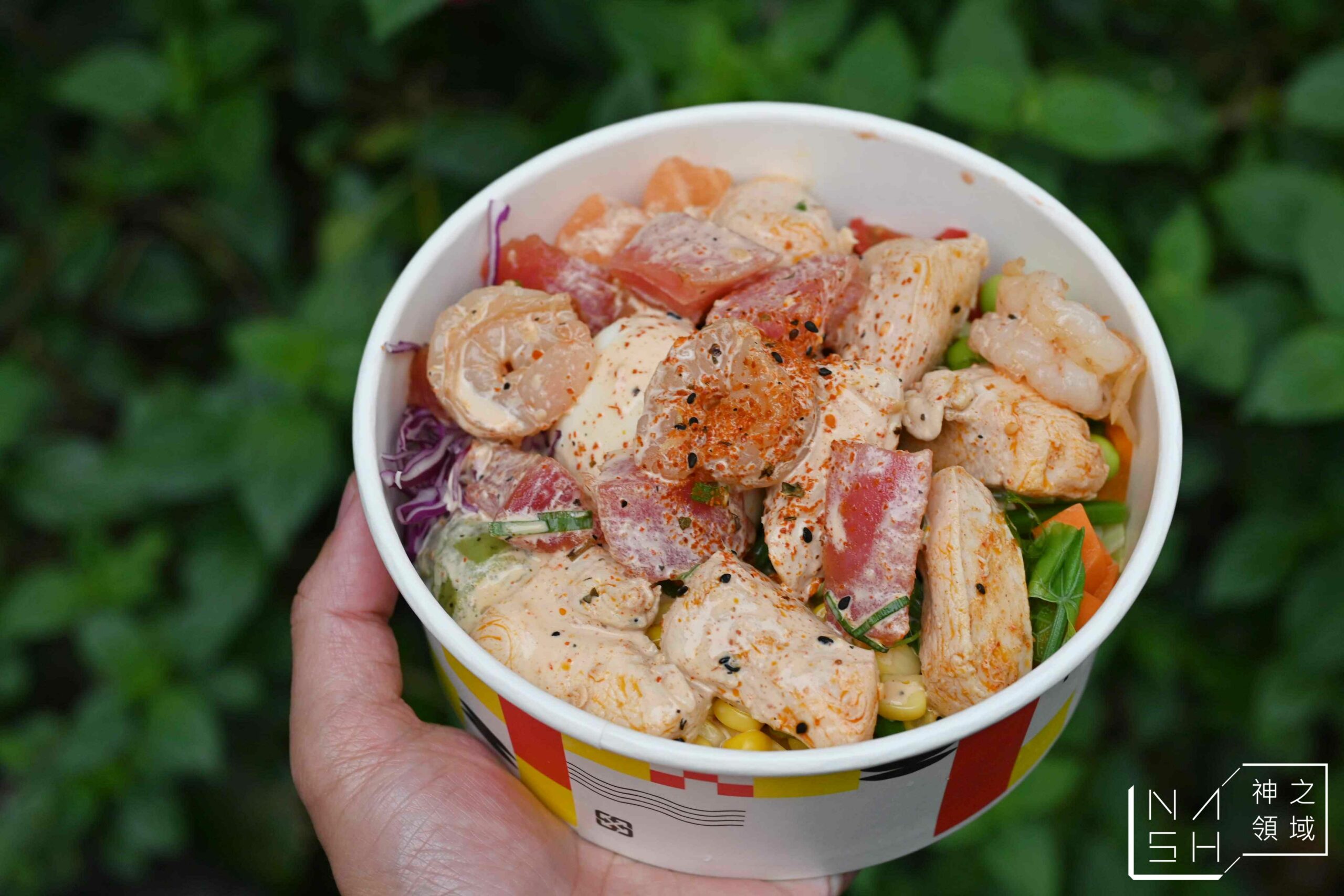 HALOA POKE TOGO