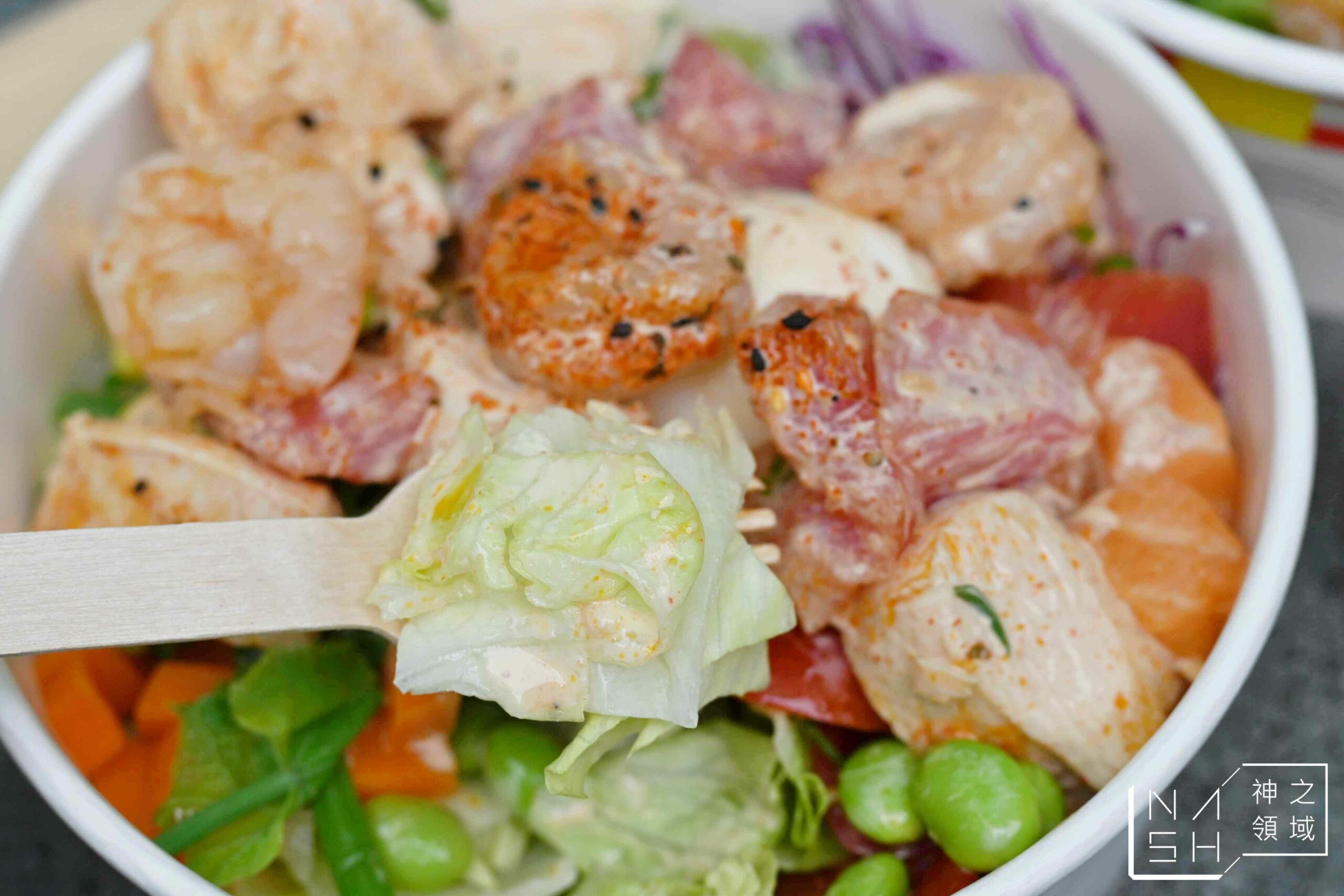 HALOA POKE TOGO