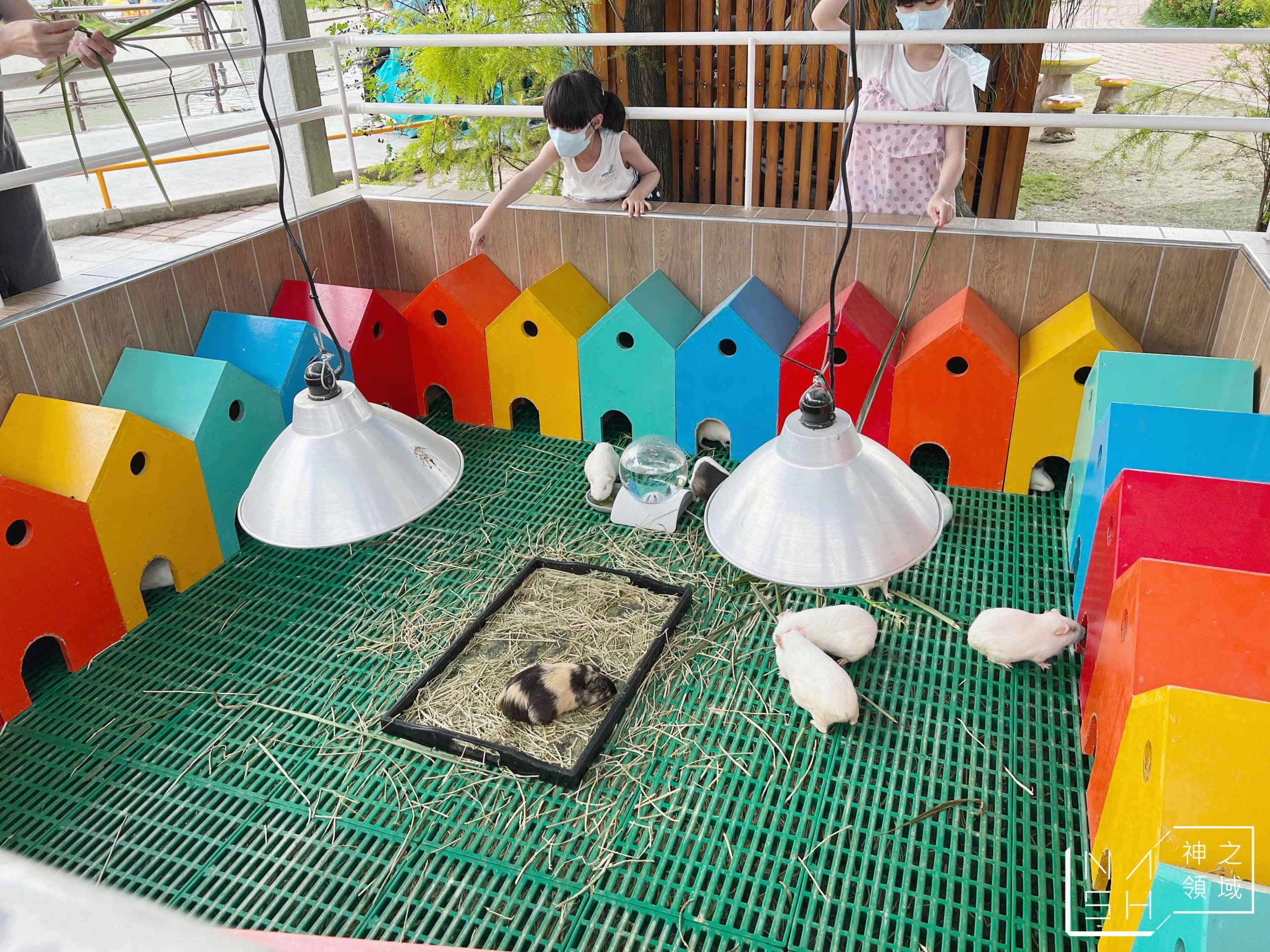 三隻小豬觀光農場