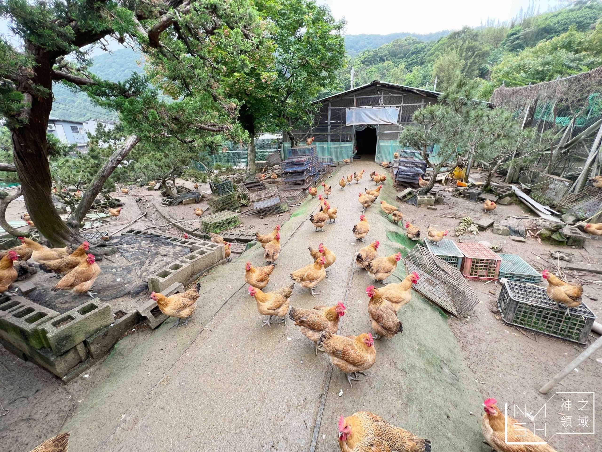 松竹園