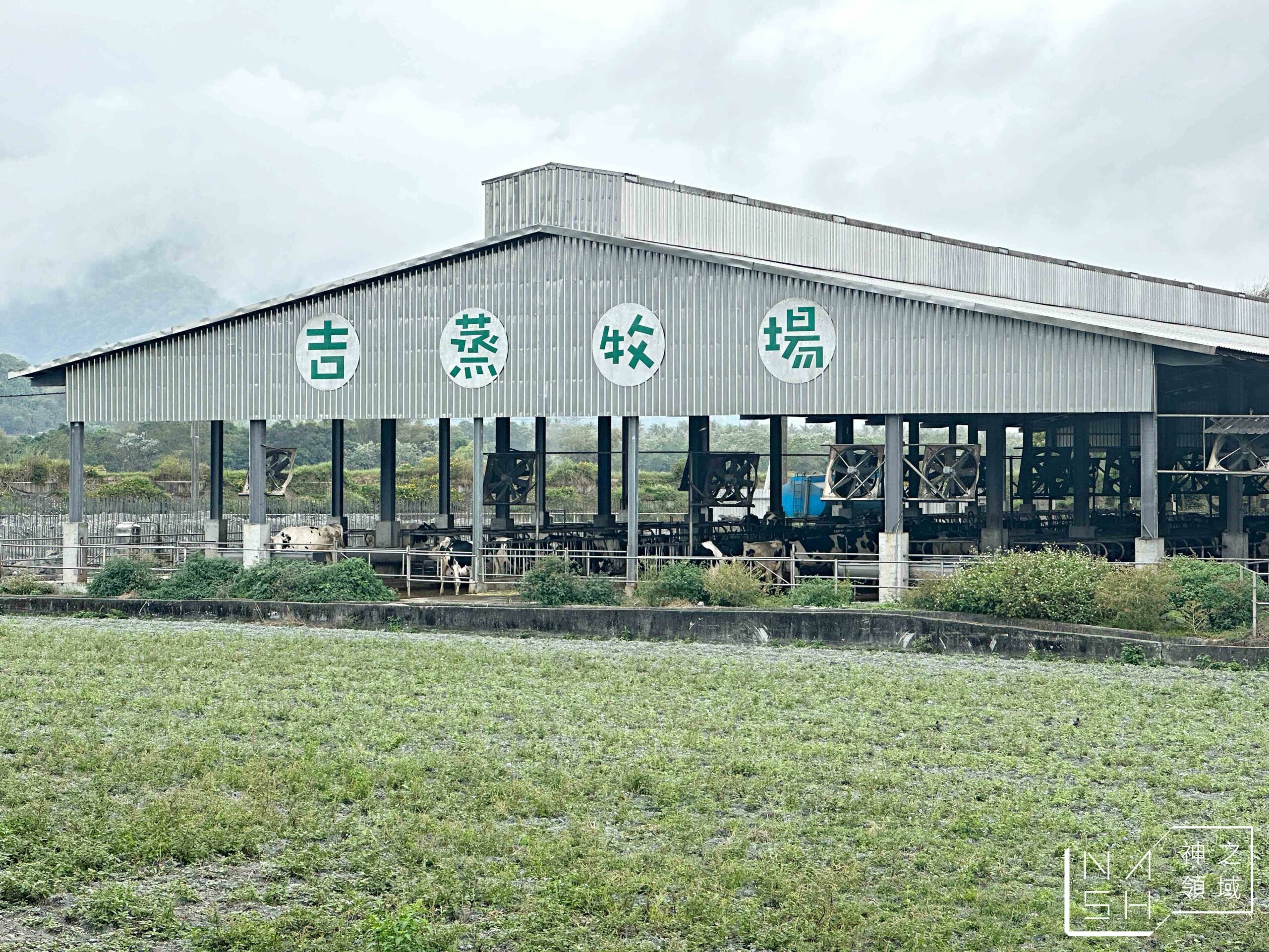 花蓮瑞穗吉蒸牧場