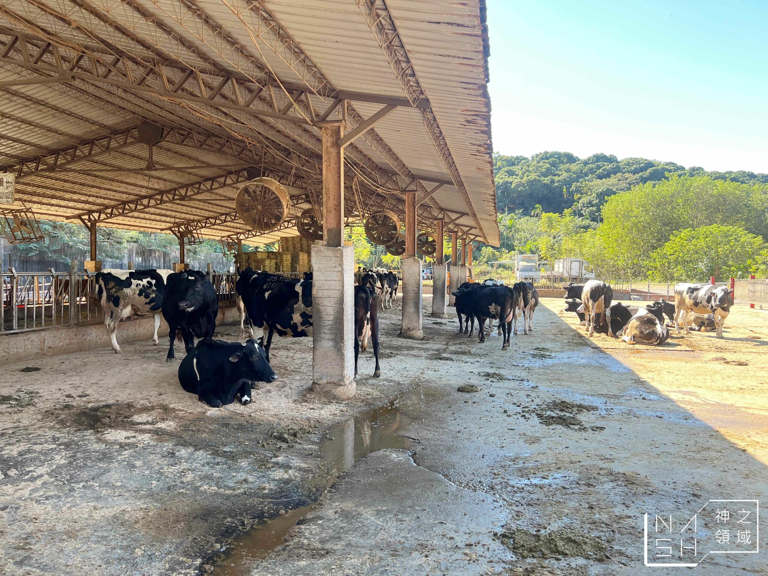 大山休閒牧場
