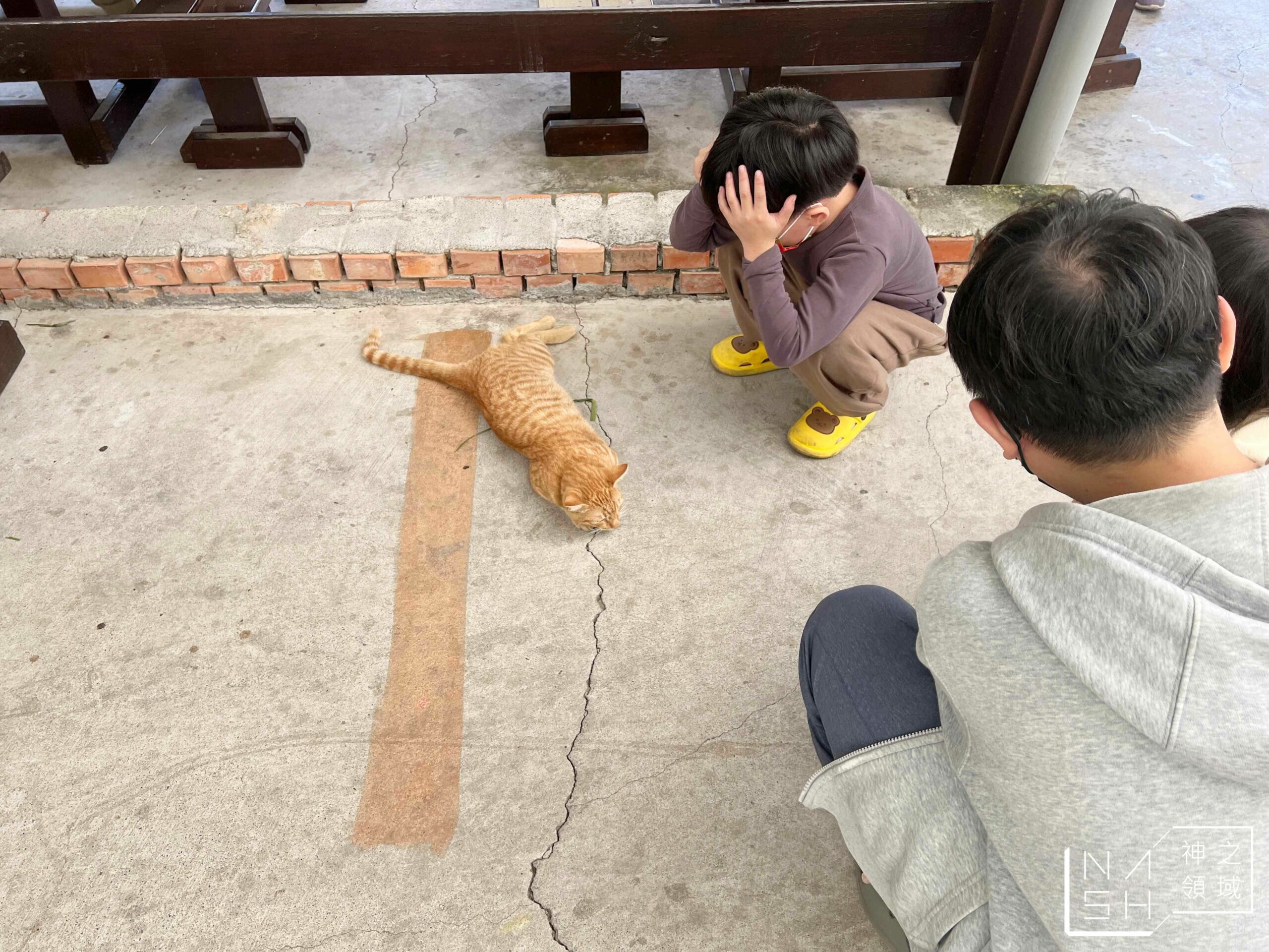 大山休閒牧場