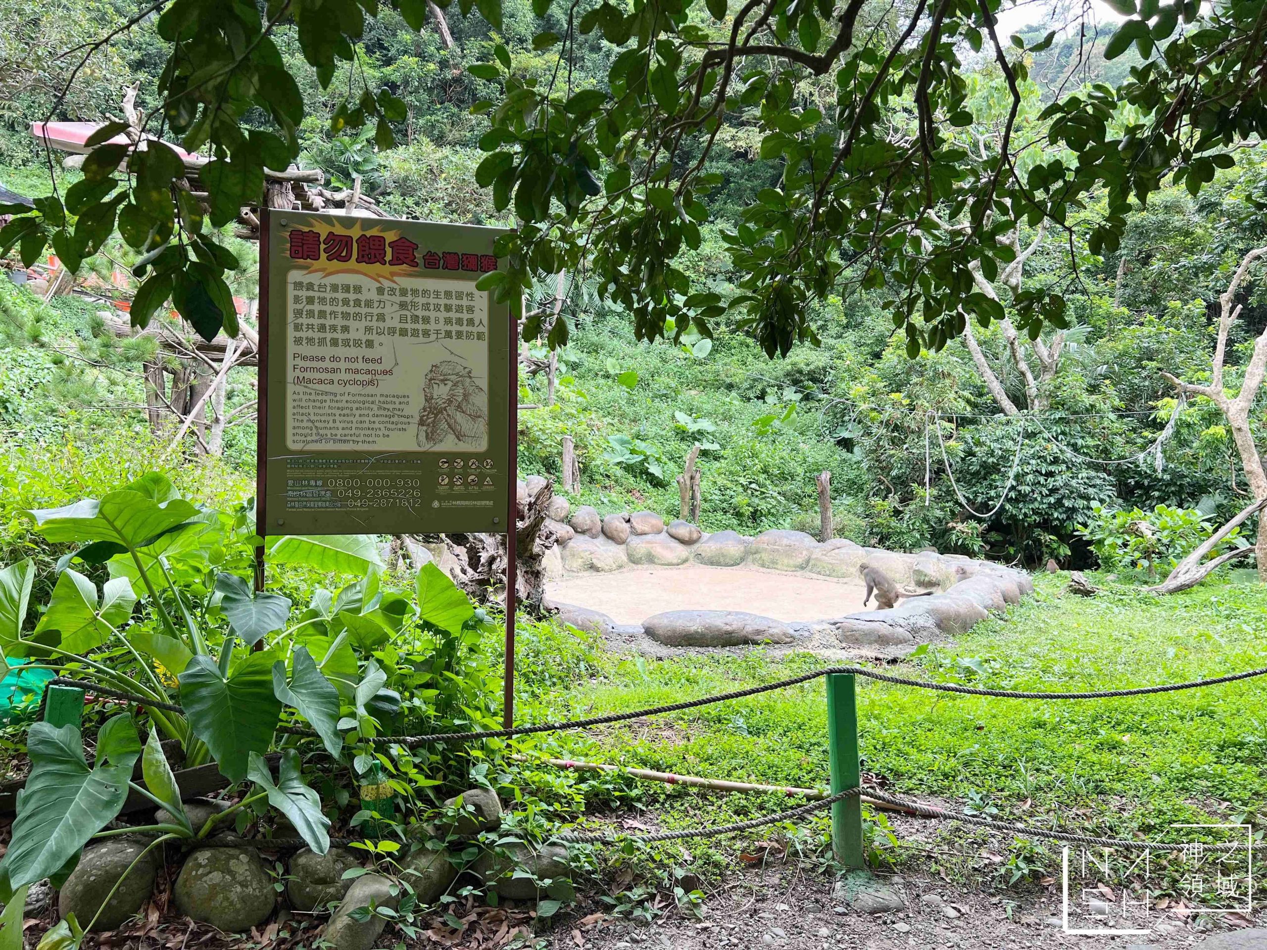 郭叔叔獼猴生態區 Monkey Land