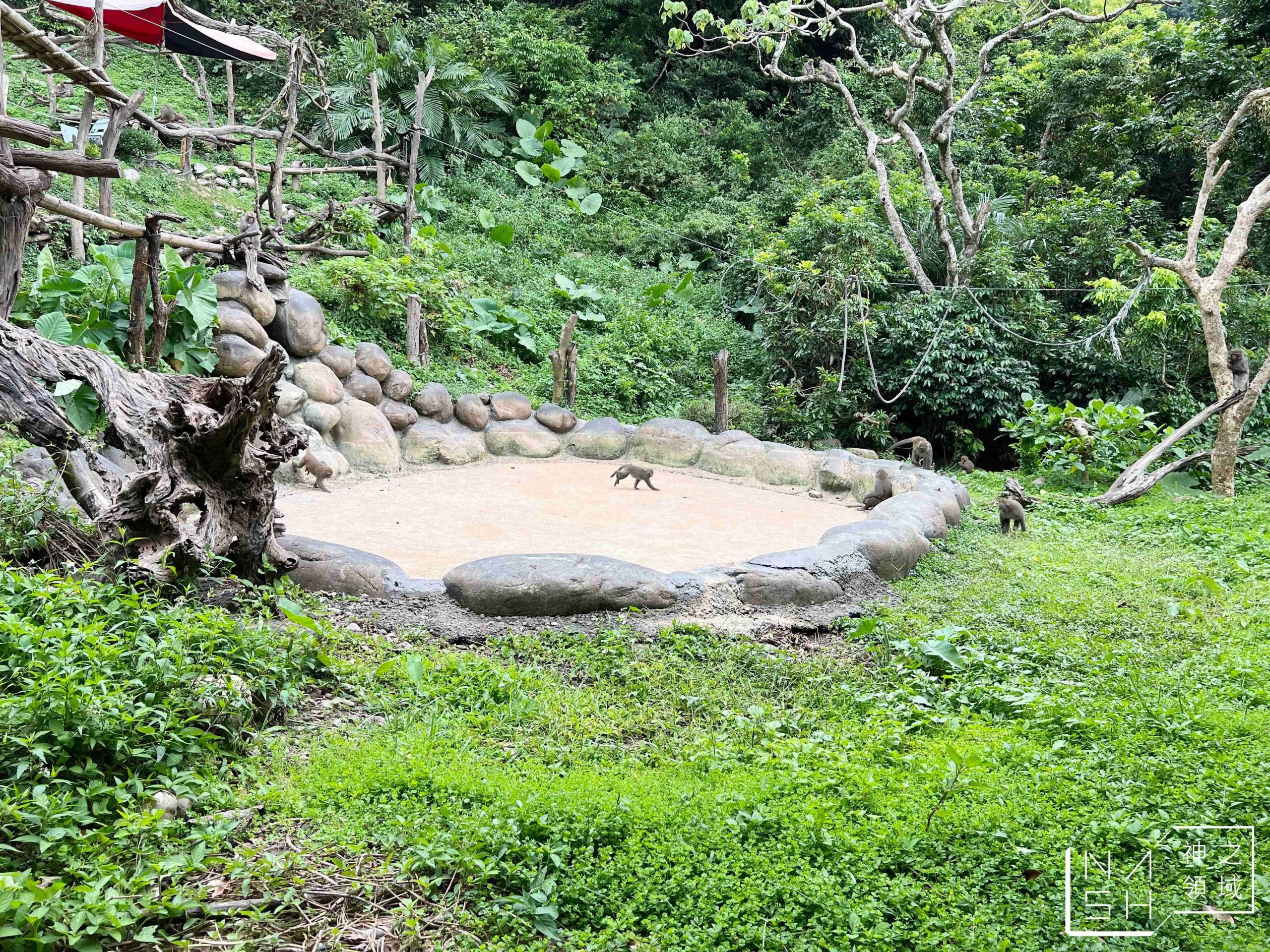 郭叔叔獼猴生態區 Monkey Land