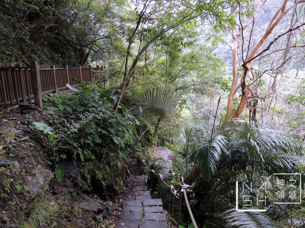 DSCN1794.JPG
