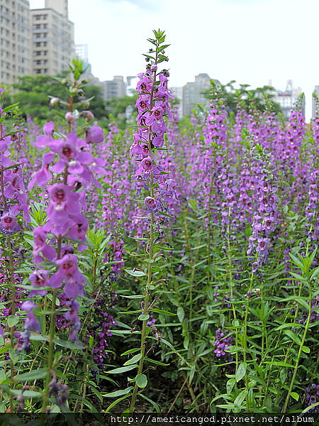DSCN3345.JPG