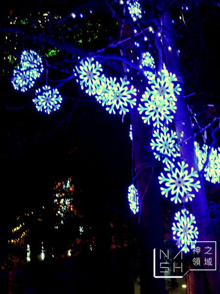 DSC_0387.JPG