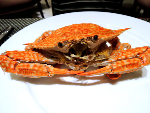 DSCN8550.JPG