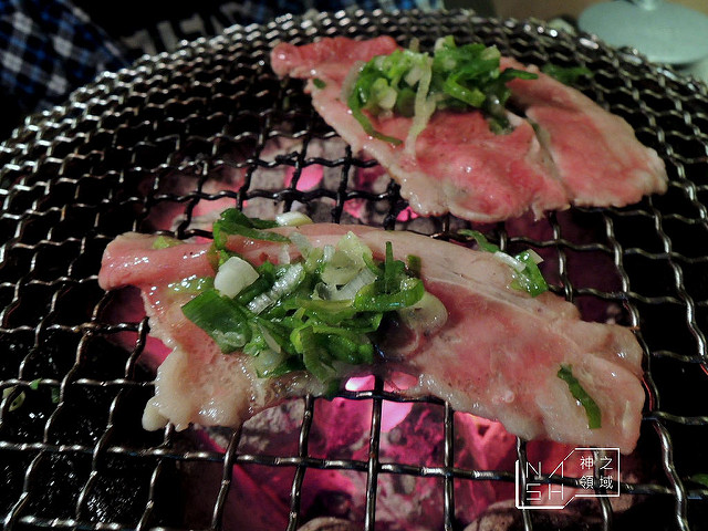 DSCN5419_结果