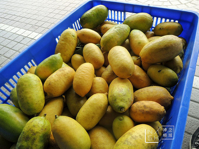 DSCN3866_结果