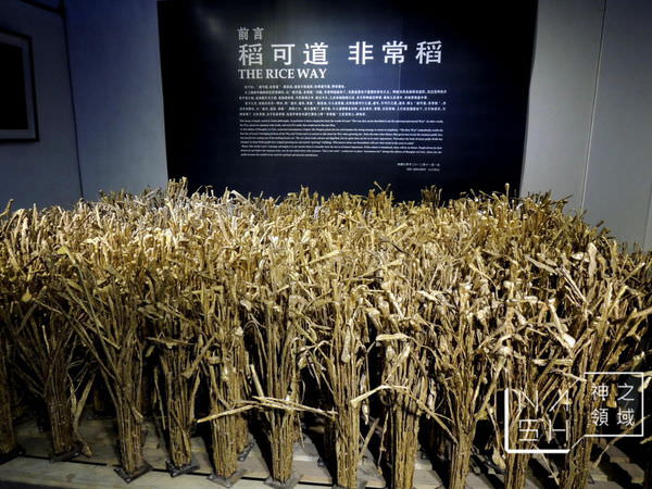 DSCN8553.JPG