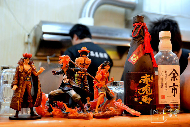 DSC_0009_结果