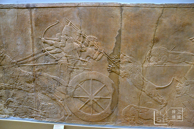 DSC_0645_结果
