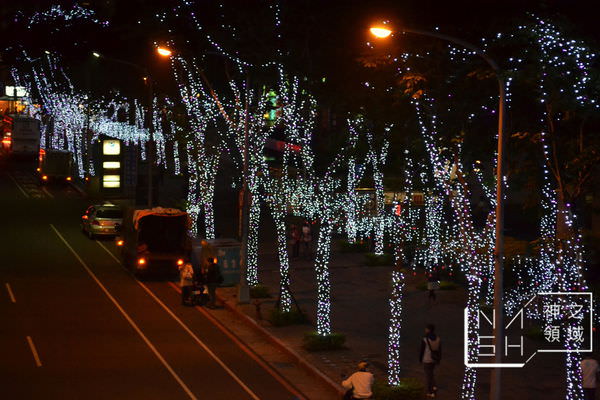 DSC_0307.JPG