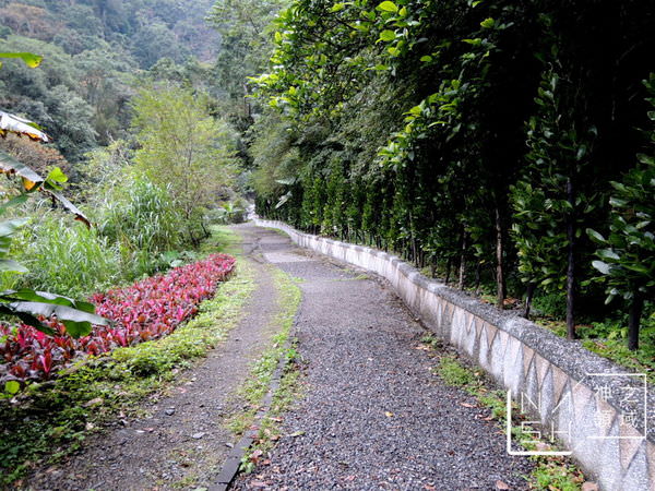 DSCN1820.JPG