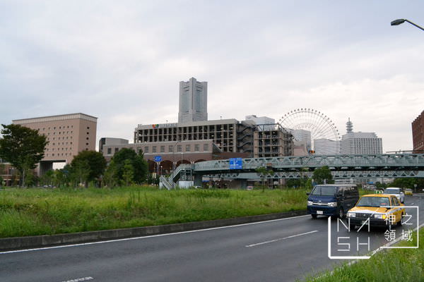 DSC_1350.JPG