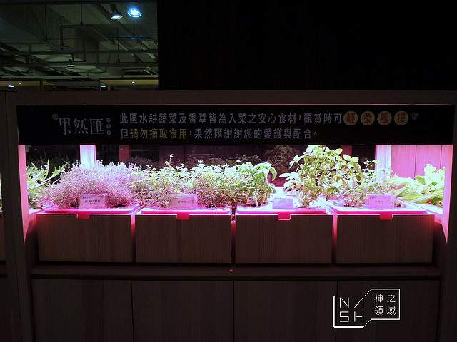 DSCN3742_结果