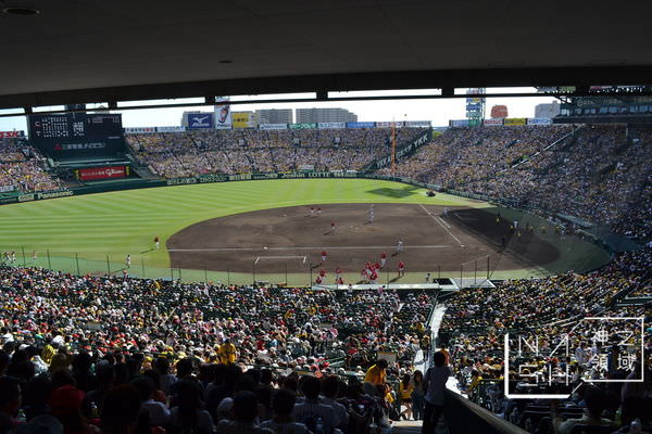 DSC_0116.JPG