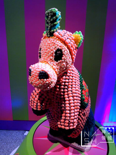DSCN5536.JPG