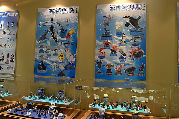 DSC_0058.JPG DSC_0058.JPG