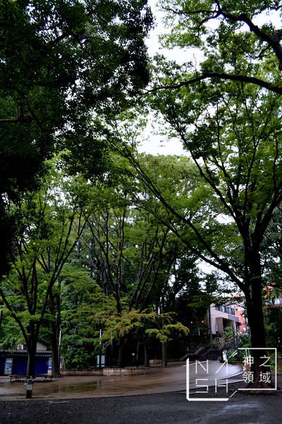 DSC_0032.JPG