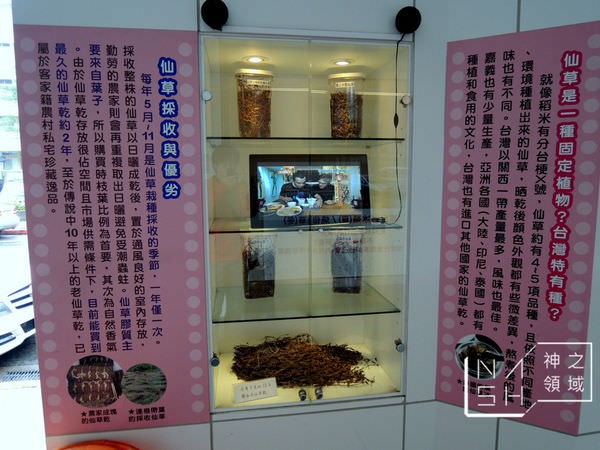 DSCN2145.JPG