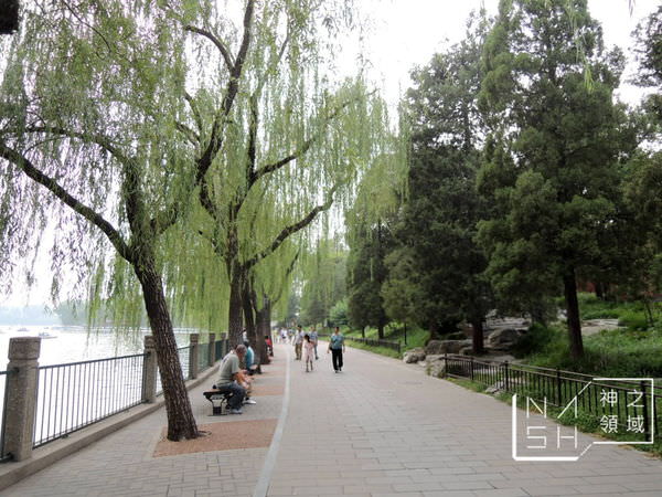DSCN8510.JPG