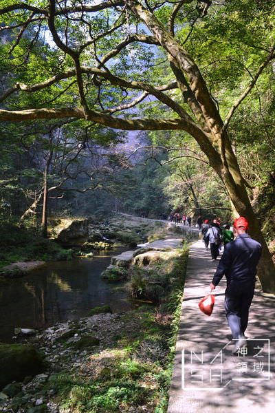 DSC_0231.JPG