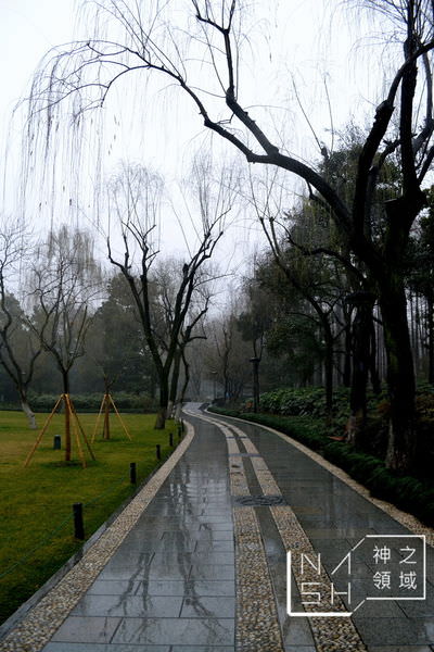 DSC_0679.JPG